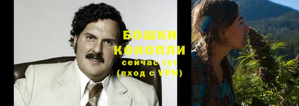 спайс Бородино