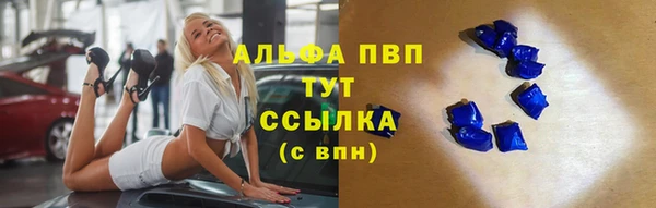 гашик Богданович