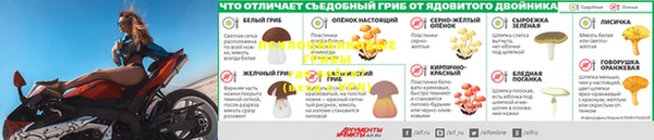ALPHA-PVP Богородск