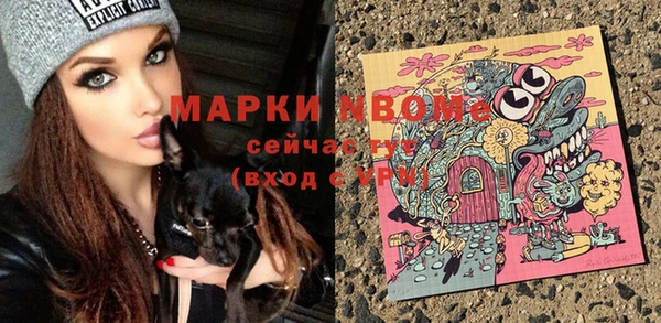 гашик Богданович