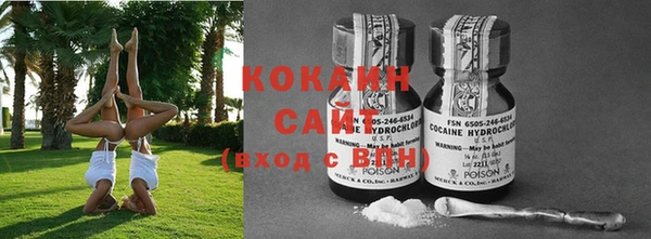 гашик Богданович