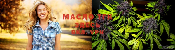 спайс Бородино