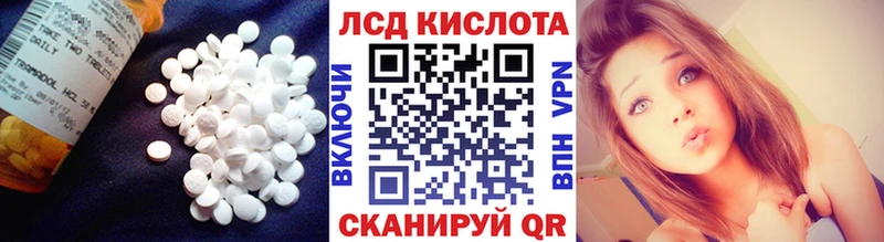 что такое   Свободный  кракен ТОР  Лсд 25 экстази ecstasy 