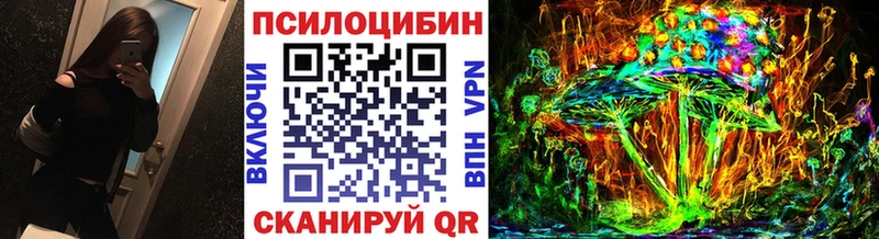 Псилоцибиновые грибы прущие грибы  где найти   hydra как зайти  Свободный 