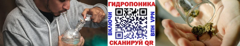 Бошки Шишки Amnesia  наркотики  Свободный 