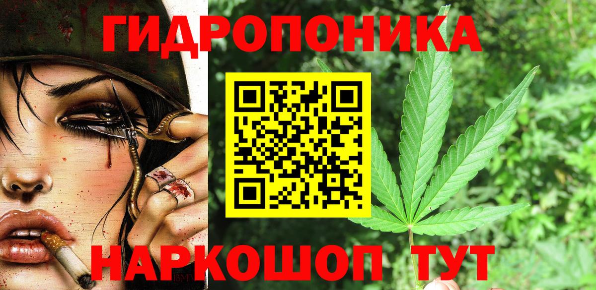 Шишки марихуана планчик Свободный